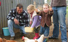 Linga Longa Farm Wingham - Sydney 4u 0