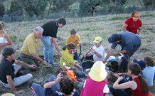 Linga Longa Farm Wingham - Sydney 4u 3