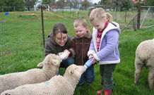 Linga Longa Farm Wingham - Sydney 4u 2