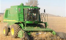 Linga Longa Farm Wingham - Sydney 4u 4
