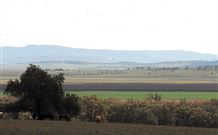 Middlebrook Station Farmstay B And B - Accommodation Sydney 2