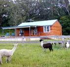 Moorallie Cottage Farm Stay - Accommodation Sydney