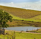 Sanctuary Hill Retreat - Sydney 4u