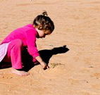 Stony Creek Farm B and B - Sydney 4u