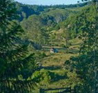 Yarralong BnB and Farm Stay - Accommodation Sydney