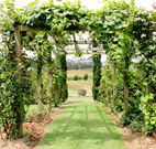 All Saints Bed and Breakfast - Sydney 4u