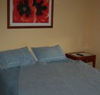 Busy Buzz - Accommodation Sydney