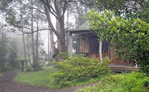 Berambing NSW Sydney 4u