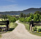 Pemberley Grange Hunter Valley Getaway - Accommodation Sydney
