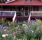 Rose Patch Bed and Breakfast - Sydney 4u
