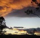 Silkwood B and B - Accommodation Sydney