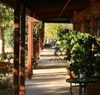 The Vineyard Motel - Accommodation Sydney