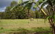 The Watertank Bed And Breakfast - thumb 0