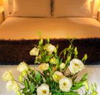 Winton Luxury Bed and Breakfast - Accommodation Sydney