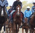 Jemby Rinjah Eco Lodge - Sydney Resort
