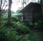 Mount Seaview Resort - Sydney 4u