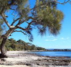 David Jones Cottage - Sydney 4u
