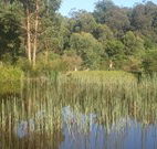 Fosterton Lodge Retreat - Accommodation Sydney