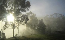 Grace Cottages - Accommodation Sydney 2