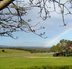 Pebble Bay Cottage - Accommodation Sydney