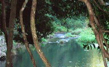 The Dell Blackheath - Sydney Resort 1