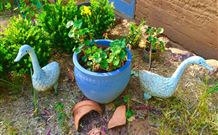 The Pines Pastoral - Sydney 4u 5