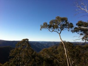Cheyenne Wilderness Farmstay - Accommodation Sydney 5