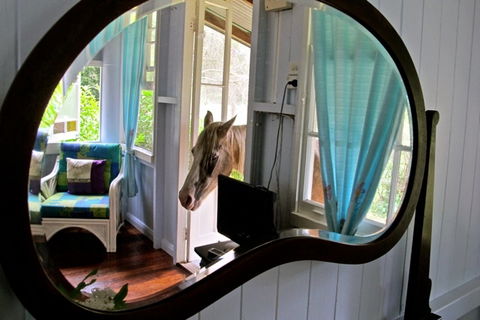 Noosa Avalon Farm Cottages - Sydney 4u 10