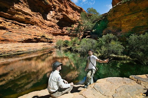 Kings Canyon Holiday Park - Accommodation Sydney 8