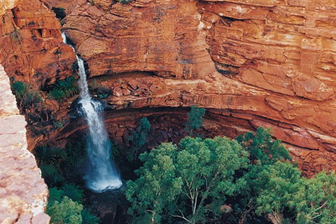 Kings Canyon Holiday Park - Accommodation Sydney 9