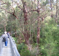 Walpole YHA - Sydney 4u