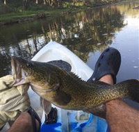 Dumaresq Homestead - Accommodation Sydney