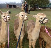 Bunyip Springs Farmstay - Accommodation Sydney