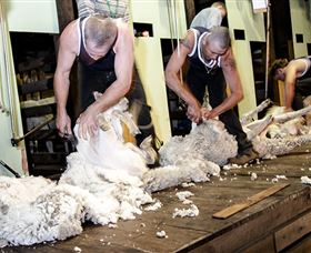 The Woolshed At Jondaryan Caravan And Camping - Accommodation Sydney 0