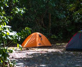 Jungle Lodge - Sydney 4u 1