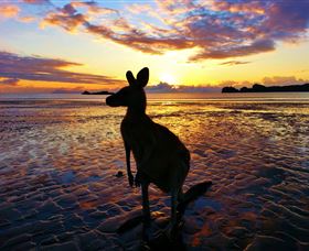 Cape Hillsborough QLD Sydney 4u
