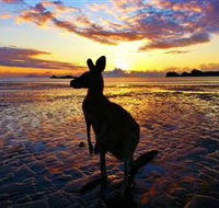 Cape Hillsborough Nature Tourist Park - Sydney 4u