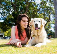 Jacobs Well Tourist Park - Sydney 4u