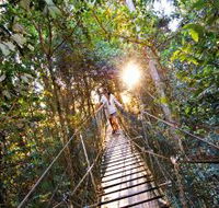 O'Reilly's Rainforest Retreat - Sydney 4u