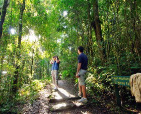 O'Reilly's Rainforest Retreat - Sydney 4u 2