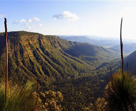 O'Reilly's Rainforest Retreat - Sydney 4u 3