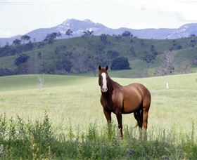 Marchioness Farmstay - Accommodation Sydney 1