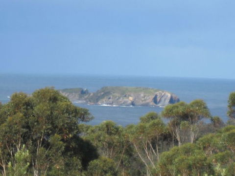 Chalet Swisse Spa Retreat - Accommodation Sydney 4