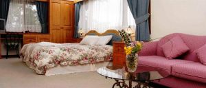 Chalet Swisse Spa Retreat - Accommodation Sydney 0