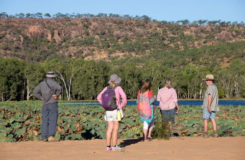 Mount Nancar Wilderness Retreat - Accommodation Sydney 5