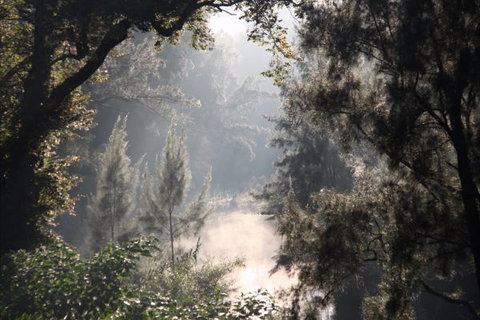 Elderslie House - Sydney Resort 29