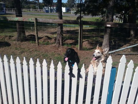 Wine Country Tourist Park - Sydney 4u 2