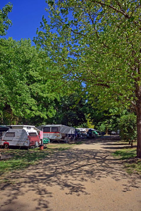 Ardern's Caravan Park, Myrtleford - Sydney 4u 1