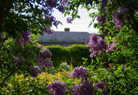 Eurambeen Historic Homestead And Gardens - Accommodation Sydney 1