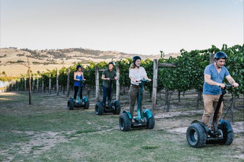 Grange Cleveland Winery Retreat - Accommodation Sydney 9